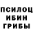 COCAIN Fish Scale Aleksandr Kotovskiy