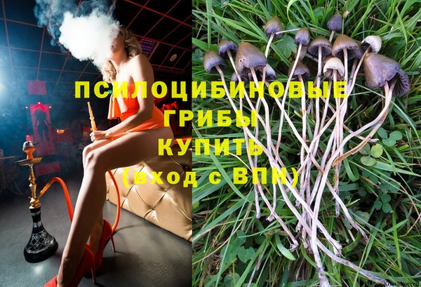 прущие грибы Алзамай