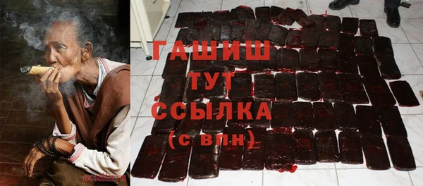 прущие грибы Алзамай
