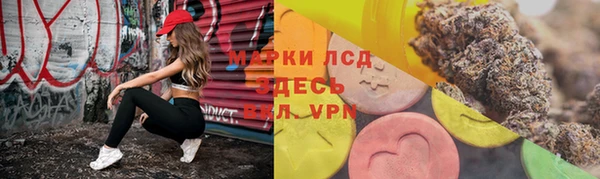 прущие грибы Алзамай