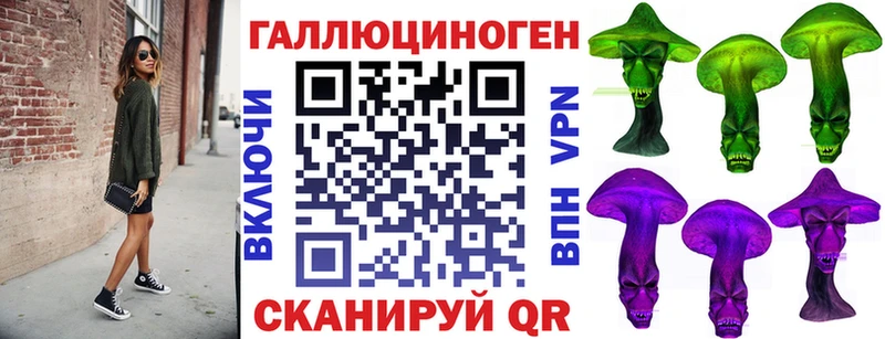 наркотики  Юрьевец  Псилоцибиновые грибы мицелий 